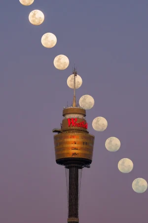 moon sequence westfield tower sydney